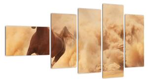 Cválajúci kôň - obraz (Obraz 110x60cm)