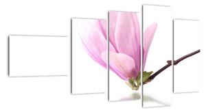 Kvet - obraz (Obraz 110x60cm)