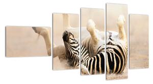 Obraz zebry (Obraz 110x60cm)
