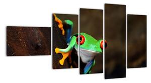 Žaba - obraz (Obraz 110x60cm)