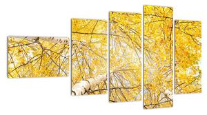 Jesenné lístie - moderný obraz (Obraz 110x60cm)