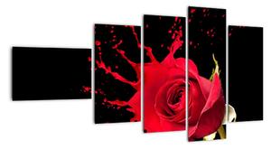 Abstraktný obraz ruža - obraz (Obraz 110x60cm)