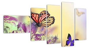 Motýle - obraz (Obraz 110x60cm)