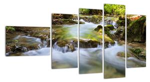 Rieka v lese - obraz (Obraz 110x60cm)