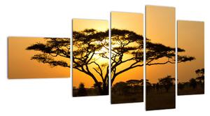 Fotka stromu - obraz (Obraz 110x60cm)