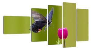 Motýľ - obraz (Obraz 110x60cm)