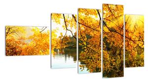 Jesenná krajina - obraz (Obraz 110x60cm)