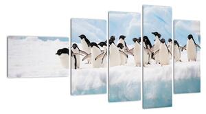 Tučniaci - obraz (Obraz 110x60cm)