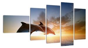 Delfíny - obraz (Obraz 110x60cm)