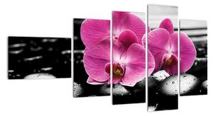 Obraz orchideí (Obraz 110x60cm)