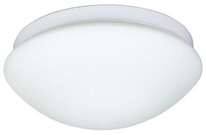 LIVARNO home LED stropné svietidlo s pohybovým senzorom (100342610)