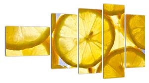 Plátky citrónov - obraz (Obraz 110x60cm)