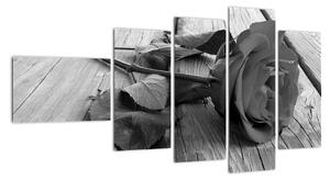 Obraz čiernobiele ruže (Obraz 110x60cm)