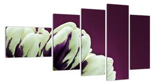 Makro tulipánov - obraz (Obraz 110x60cm)