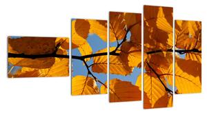 Jesenné lístie - obraz (Obraz 110x60cm)
