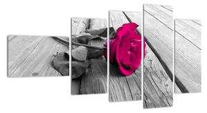 Obrazy kvetov - ruža (Obraz 110x60cm)