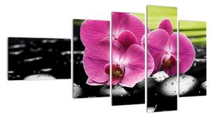 Fotka orchidey (Obraz 110x60cm)