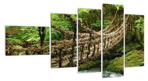 Obraz - most v prírode (Obraz 110x60cm)