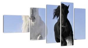 Kone, obraz (Obraz 110x60cm)