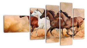Obraz kôň (Obraz 110x60cm)