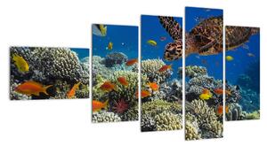 Obraz podmorského sveta (Obraz 110x60cm)