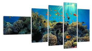 Obraz podmorského sveta (Obraz 110x60cm)