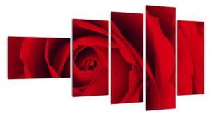 Detail červené ruže - obraz (Obraz 110x60cm)