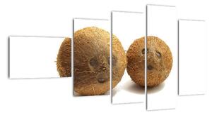 Kokosový orech, obraz (Obraz 110x60cm)