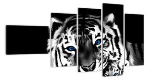 Obraz tigra s mláďaťom (Obraz 110x60cm)