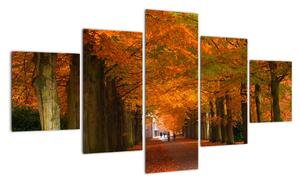 Obraz cesty lesom na jeseň (Obraz 125x70cm)