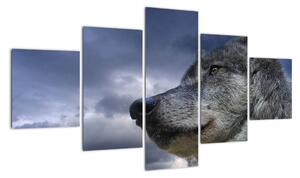 Obraz vlka (Obraz 125x70cm)