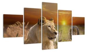 Obrazy zvierat (Obraz 125x70cm)