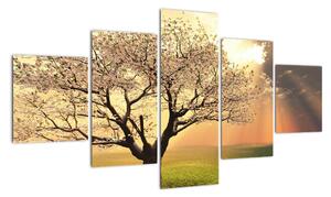 Obraz prírody - strom (Obraz 125x70cm)