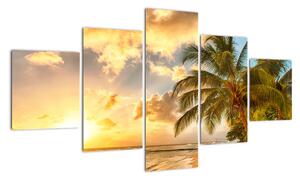 Obraz palmy na piesočnatej pláži (Obraz 125x70cm)
