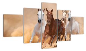 Obrazy bežiacich koní (Obraz 125x70cm)