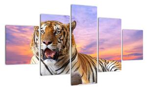 Obraz ležiaceho tigra (Obraz 125x70cm)