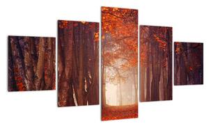Jesenné les - obraz (Obraz 125x70cm)