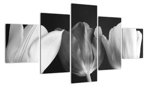 Čiernobiely obraz - tri tulipány (Obraz 125x70cm)