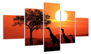 Obraz žirafy pri západe slnka (Obraz 125x70cm)