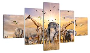 Obraz - safari (Obraz 125x70cm)