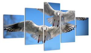 Obraz do bytu - vtáky (Obraz 125x70cm)