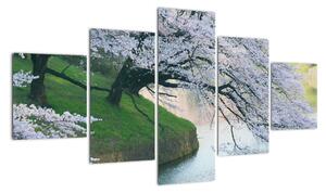 Obraz kvitnúcich stromov (Obraz 125x70cm)