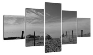 Obraz - cesta v piesku (Obraz 125x70cm)