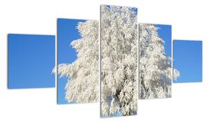 Zasnežený strom - obraz (Obraz 125x70cm)