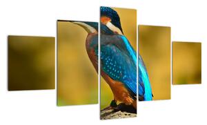 Obraz - farebný vták (Obraz 125x70cm)