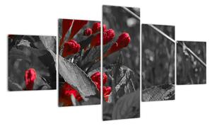 Červené kvety - moderné obrazy (Obraz 125x70cm)