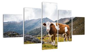 Obraz kravy na lúke (Obraz 125x70cm)