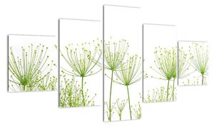 Obraz rastlín na bielom pozadí (Obraz 125x70cm)