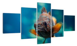 Obraz - ryba (Obraz 125x70cm)