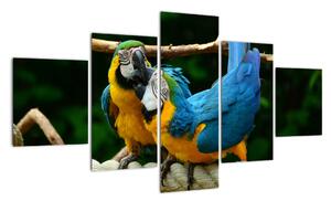 Obraz papagájov na lane (Obraz 125x70cm)
